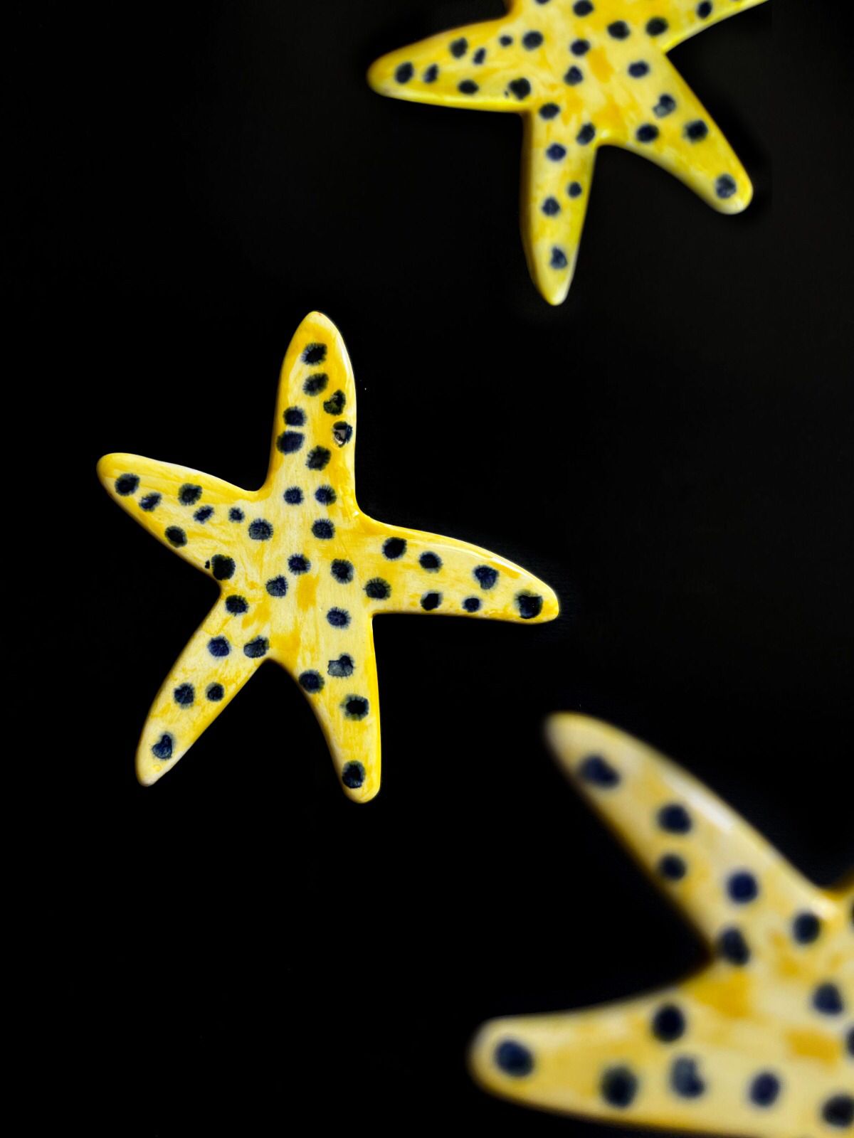 cavalluccio-stelle-insiemenelsociale-4